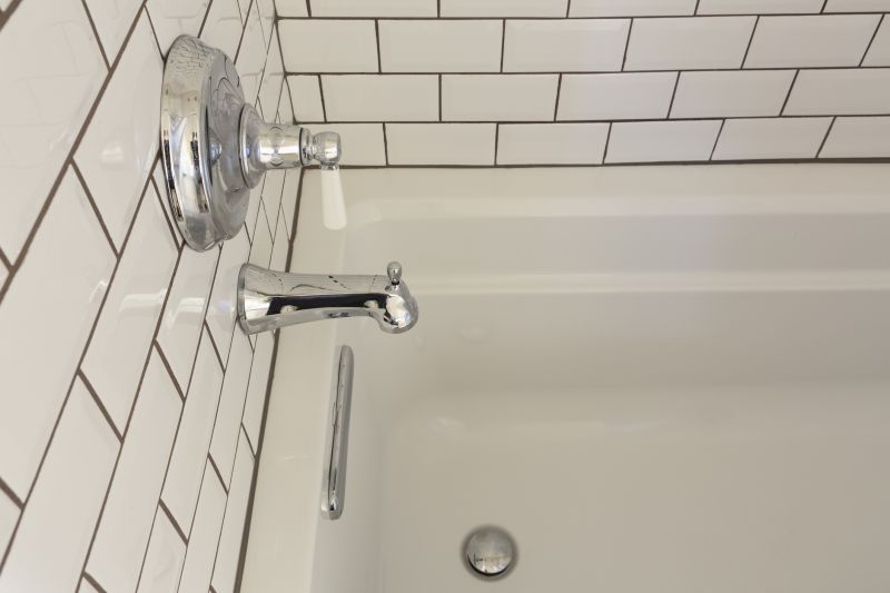 Refinished Bathtub with Modern Fixtures